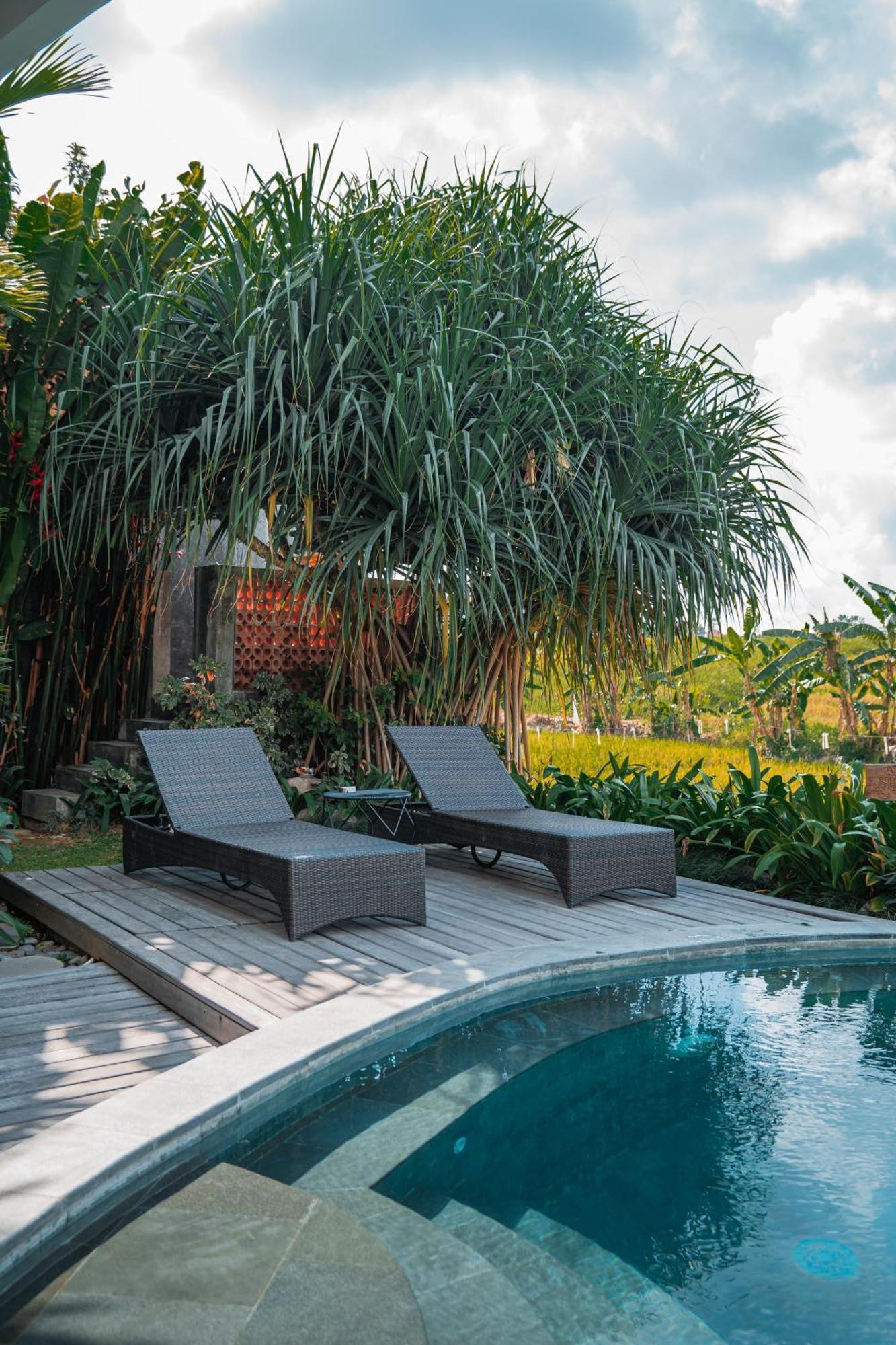 Mahalona Bali Stay Чангу Экстерьер фото